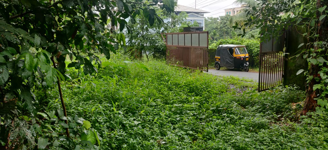 land for sale in chottanikkara, kochi land for sale in chottanikkara, kochi